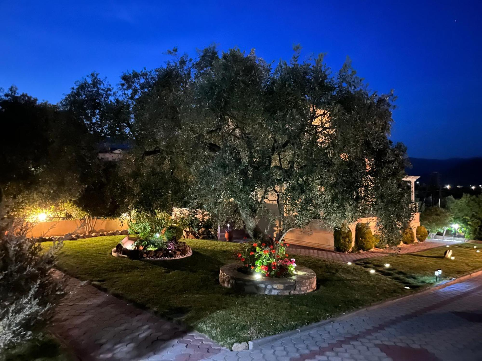 Apartament En Ethria Limenaria  Zewnętrze zdjęcie